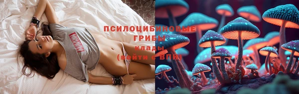 apvp Богданович