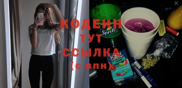 крисы Богородицк