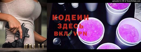 крисы Богородицк