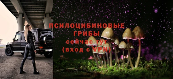 хмурый Рославль