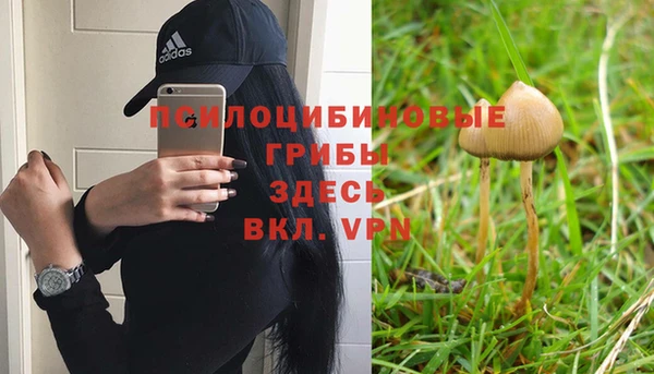 крисы Богородицк