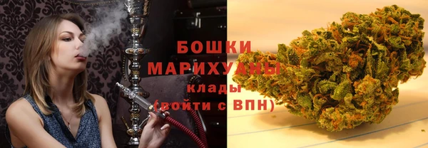 крисы Богородицк