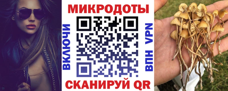 Псилоцибиновые грибы Psilocybe  Купить  Баксан 